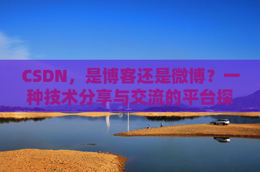 CSDN，是博客还是微博？一种技术分享与交流的平台探讨
